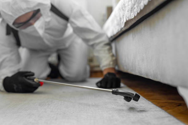 Professional Bed Bug Control technician working in New Rockford, ND