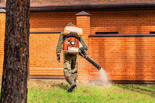 Trusted Termite Control service in New Rockford, ND - Nex Pest Control